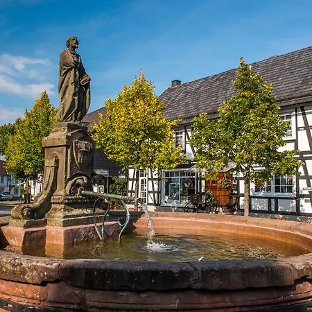 Welcome In - 'zum Hohlen Rain' Mit Terrasse Und Grill Winterberg