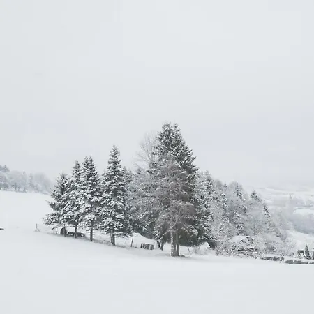 Welcome In - 'zum Hohlen Rain' Mit Terrasse Und Grill Daire *